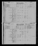 1881 Canadian Census John Johnston