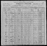 1900 US Census Julia Relation