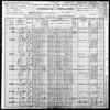 1900 US Census Newell Badger