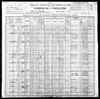 1900 US Census Tuffied Vashro