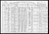 1910 US Census Newell Badger