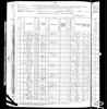 1880 US Census Luke Rayms