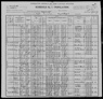 1900 US Census Covey