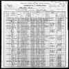 1900 US Census James Patrie
