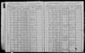1905 NY Census Wallace W Brooks