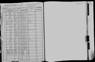 1905 NY Census Newell Badger
