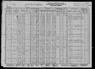 1930 US Census Jan Janos
